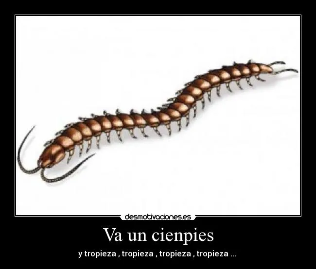 Va un cienpies | Desmotivaciones