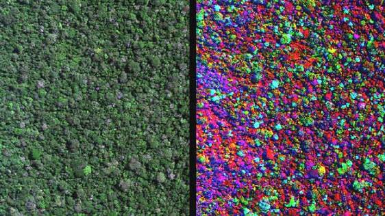 Científicos desarrollan tecnología que permite crear mapas en 3D ...