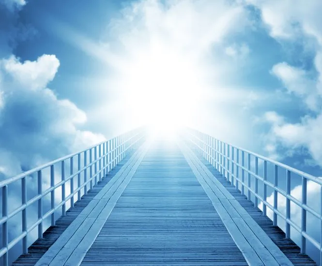 Científicos hallan signos de que existe la vida después de la ... Científicos hallan signos de que existe la vida después de la ...