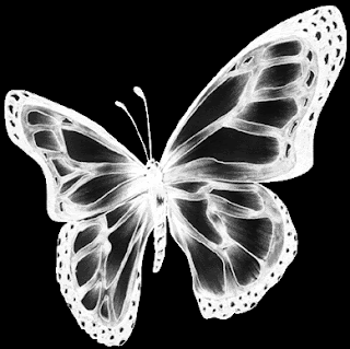 cientos de mariposas de colores se cruzan entrelazan bailan y chocan a ... cientos de mariposas de colores se cruzan entrelazan bailan y chocan a ...