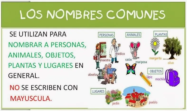 CIFRAS Y LETRAS: CLASES DE NOMBRES (3º y 4º) CIFRAS Y LETRAS: CLASES DE NOMBRES (3º y 4º)
