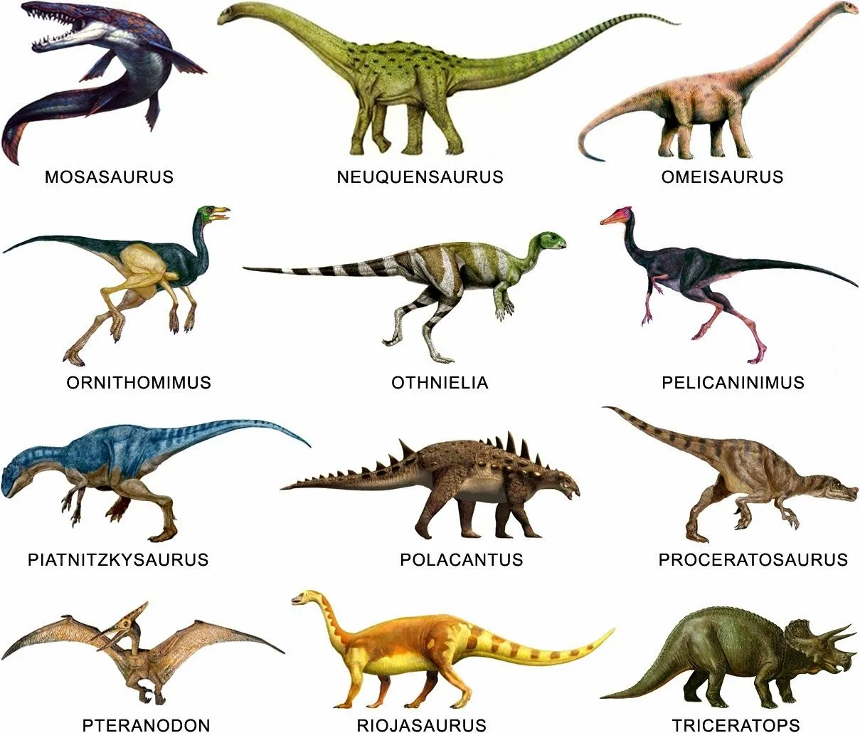 Animales-Dinosaurios-375697.jpg