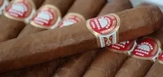 los cigarros, el humo, la salud | Descargar Fotos gratis los cigarros, el humo, la salud | Descargar Fotos gratis