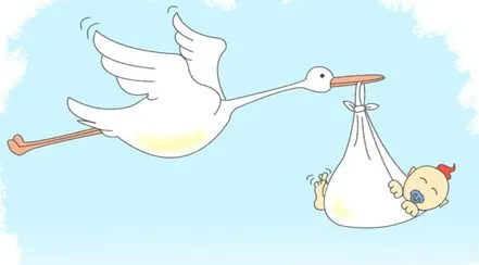 La cigüeña en caricatura - Imagui