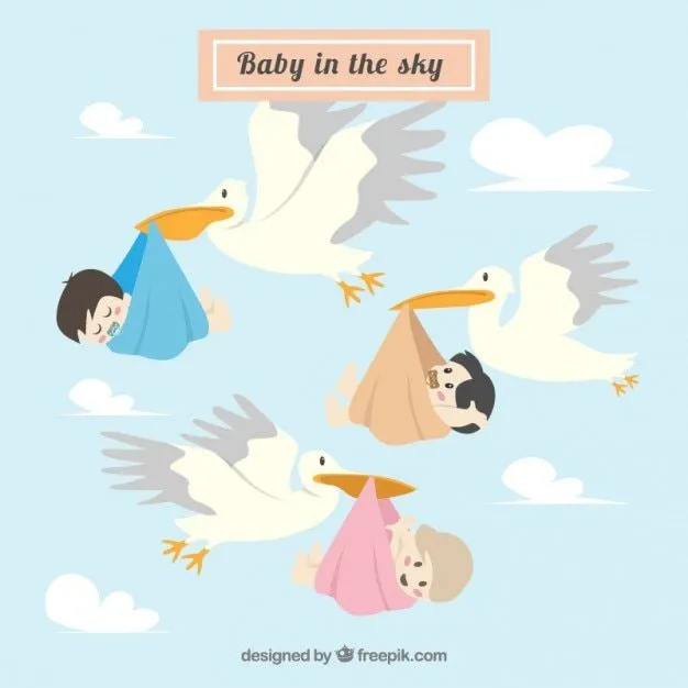 Cigüeña | Descargar Fotos gratis Cigüeña | Descargar Fotos gratis