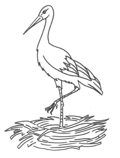 Cigueña para pintar - Imagui