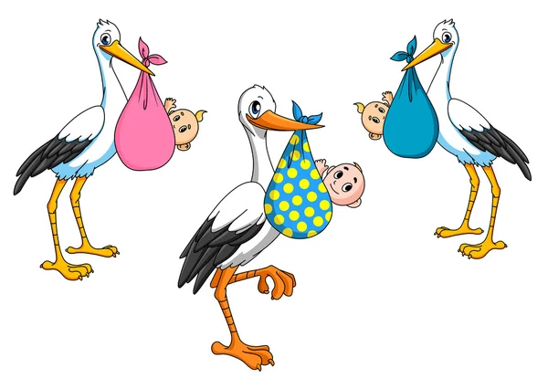 Cigüeñas de dibujos animados lindo con bebés — Vector stock ... Cigüeñas de dibujos animados lindo con bebés — Vector stock ...