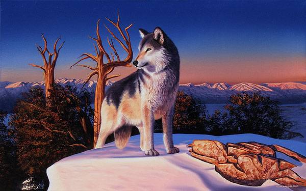 La cima del lobo Sergio Gaspar - Artelista.com La cima del lobo Sergio Gaspar - Artelista.com