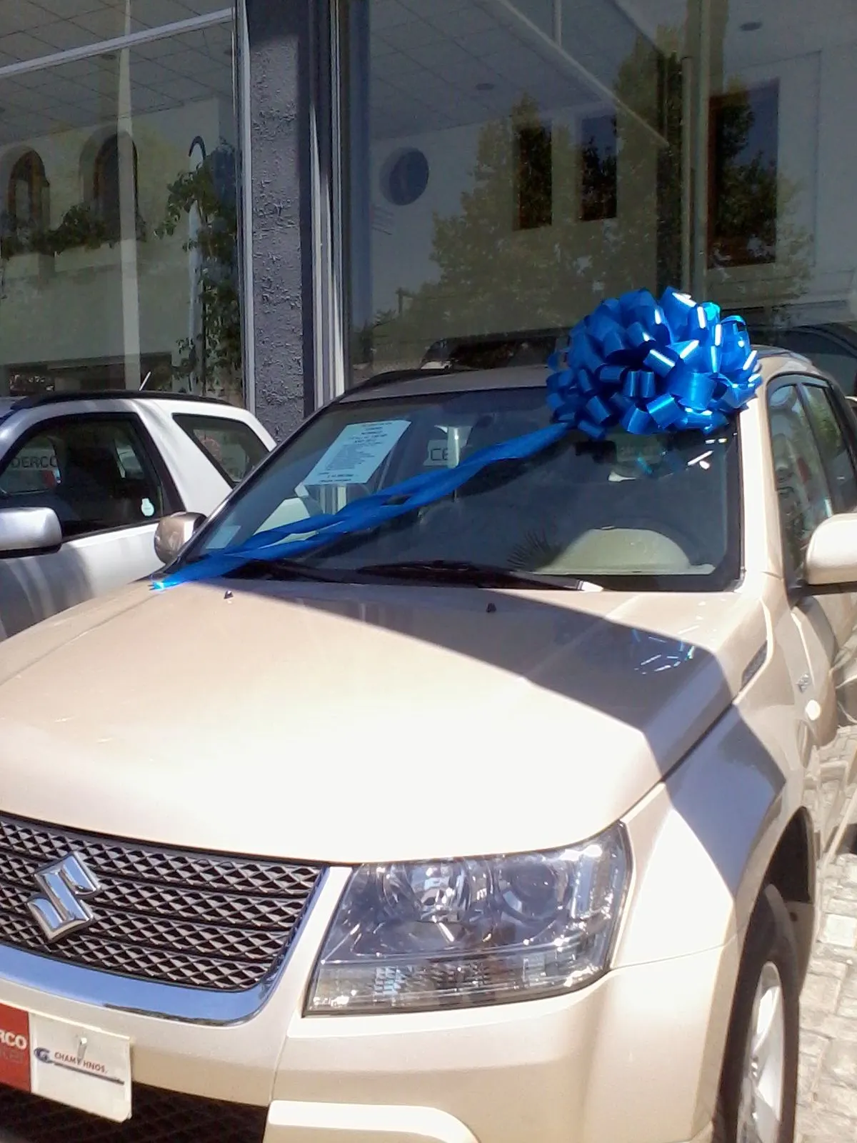 Cintas decorativas: Moños decorativos para autos de regalo Cintas decorativas: Moños decorativos para autos de regalo