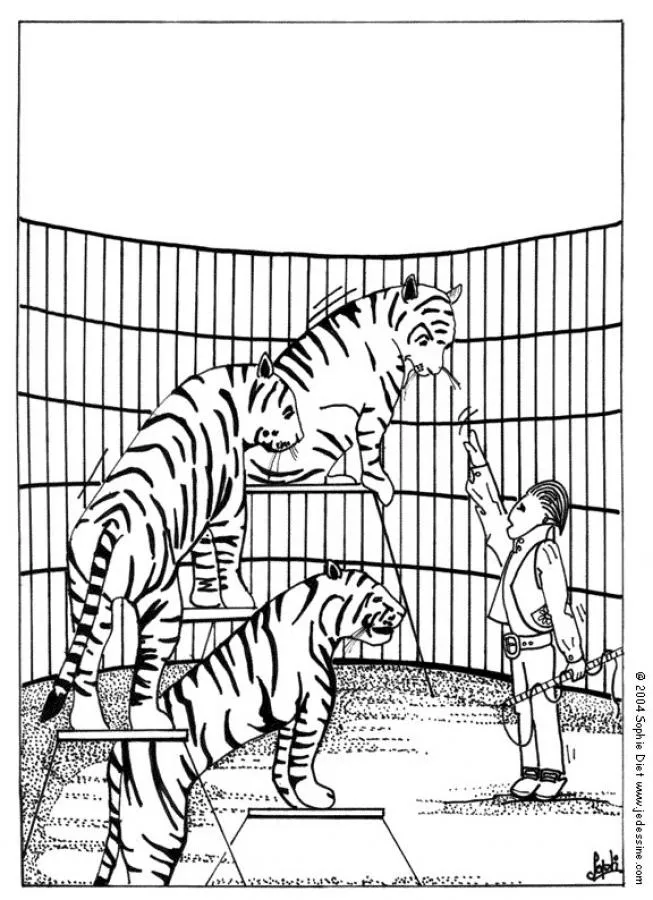 Circo para colorear, tigres para imprimir