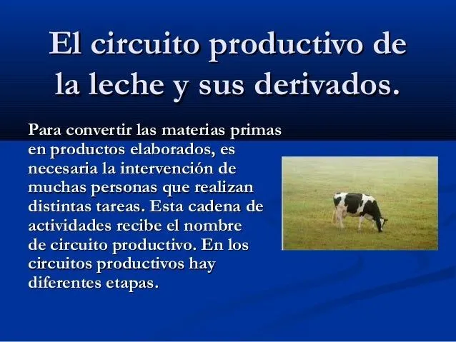 Circuito de los lácteos