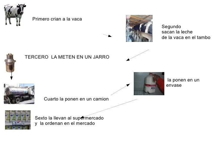 Circuito productivo leche