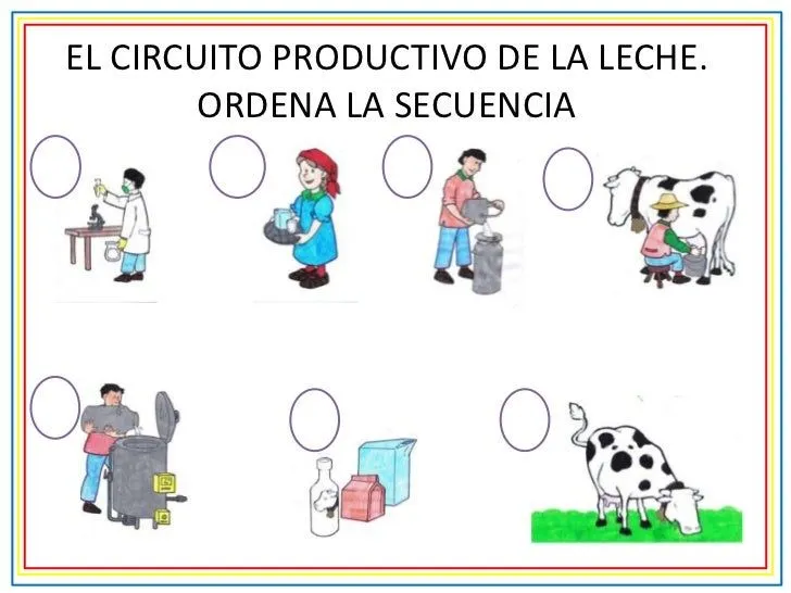 circuito-productivo-para- ...