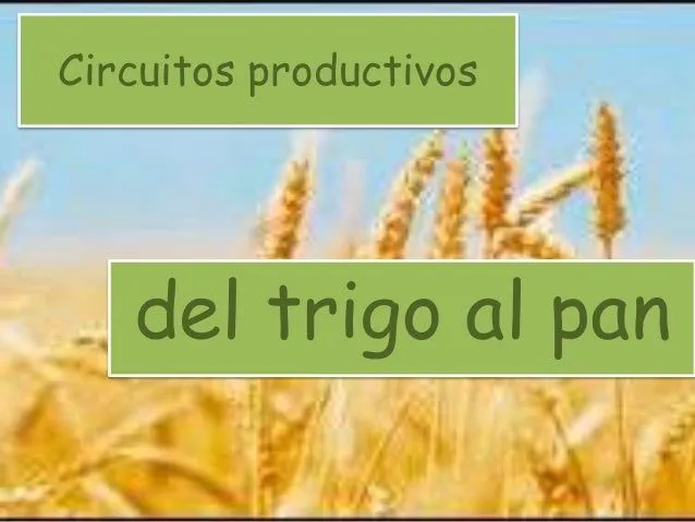 Segundo circuitos productivos