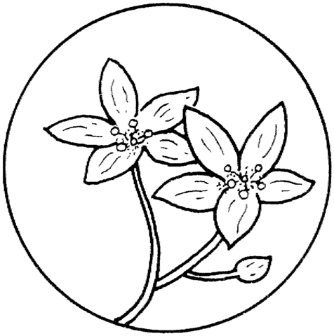 Círculo con Flores 2 dibujo para colorear | SuperColoring.com Círculo con Flores 2 dibujo para colorear | SuperColoring.com