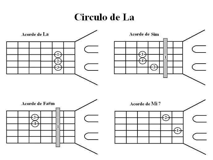 Circulos de guitarra | theguitarsounds