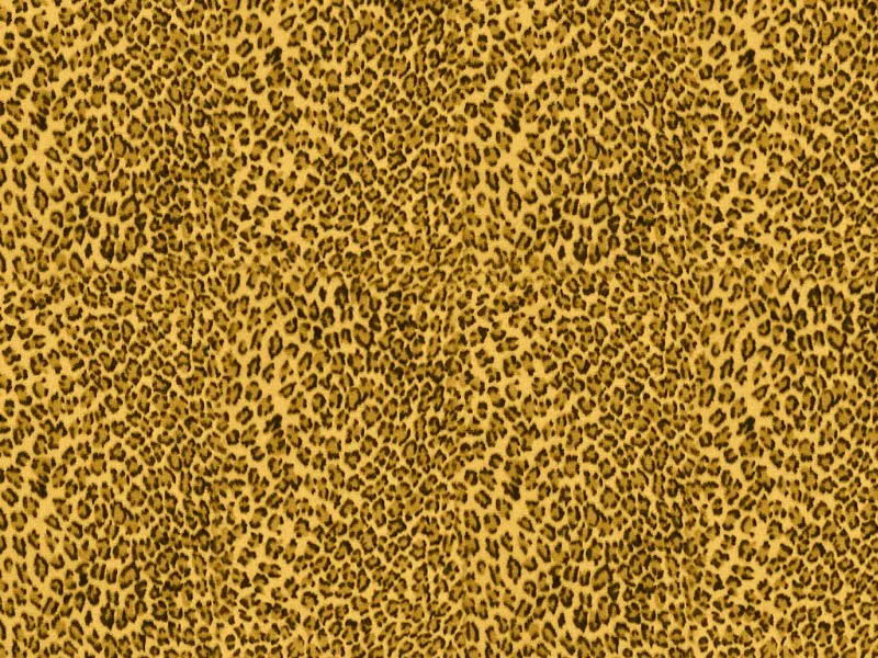 Circulos PNG & Fondos De leopardo