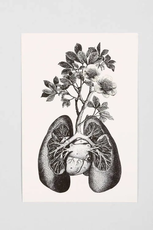 Cirque D'Art Lungs Art Print // purchase here - Cirque D'Art Lungs Art Print // purchase here -