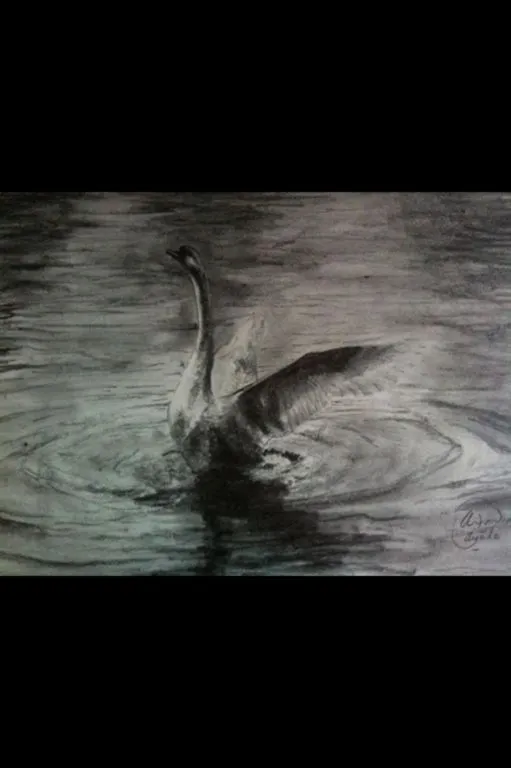 cisne Antonio Ayala Toquiantzi - Artelista.com cisne Antonio Ayala Toquiantzi - Artelista.com