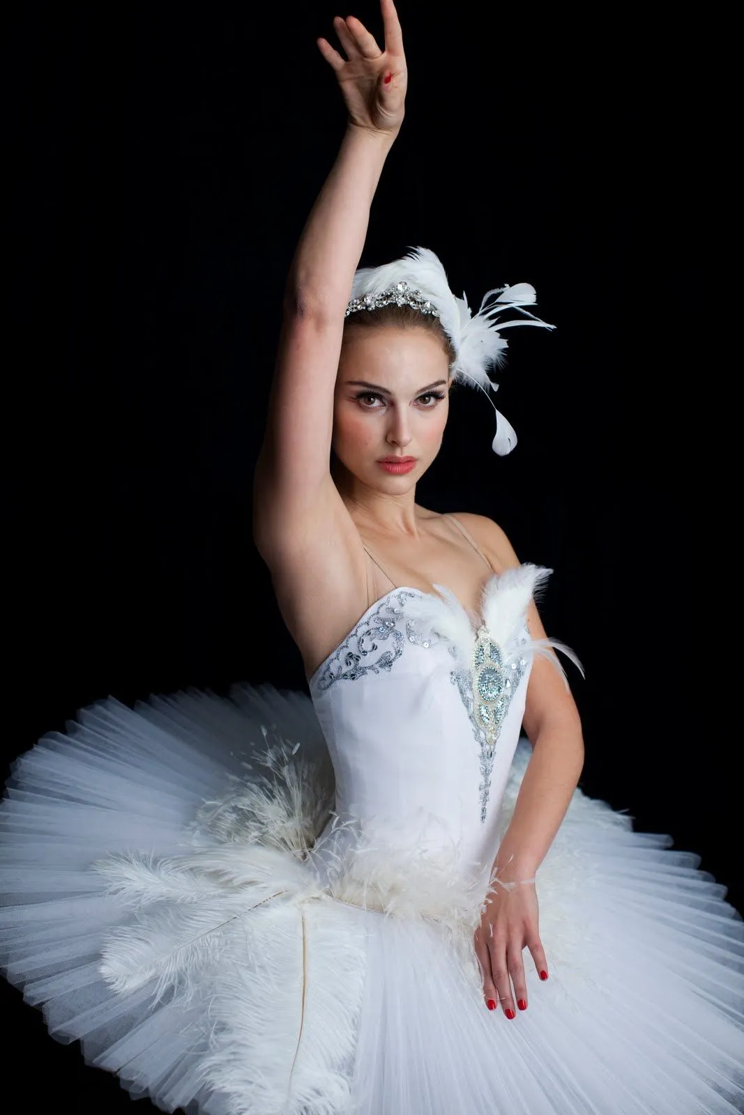 CISNE BLANCO, CISNE NEGRO.