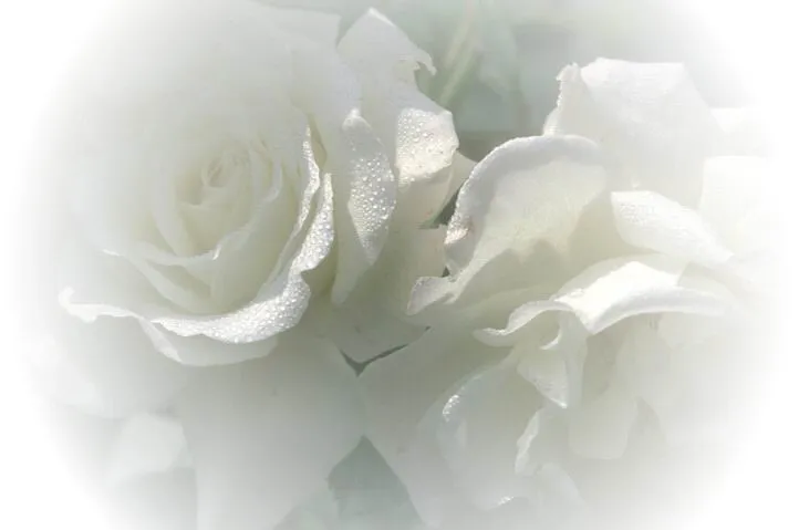 El cisne de cristal: Las rosas del invierno. El cisne de cristal: Las rosas del invierno.
