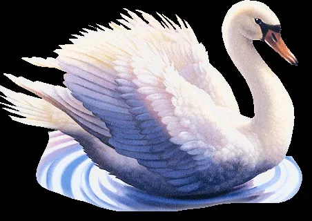 Dibujo de cisne para imprimir-Imagenes y dibujos para imprimir