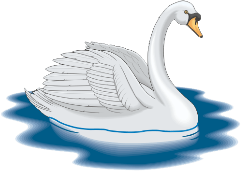 Cisne animado - Imagui