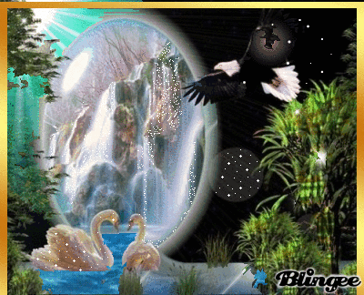 Cisnes enamorados por Gilberto Picture #95182885 | Blingee. Cisnes enamorados por Gilberto Picture #95182885 | Blingee.