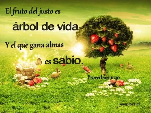 Imagenes de Proverbios Biblicos | Imagenes de Jesus - Fotos de Jesus