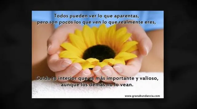 Citas y dichos con frases de reflexion on Vimeo