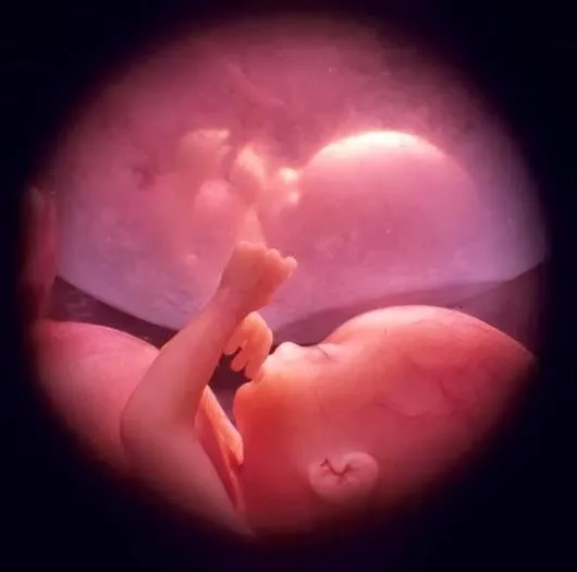 La Ciudad Del Olvido": HERMOSOS NUESTROS BEBES