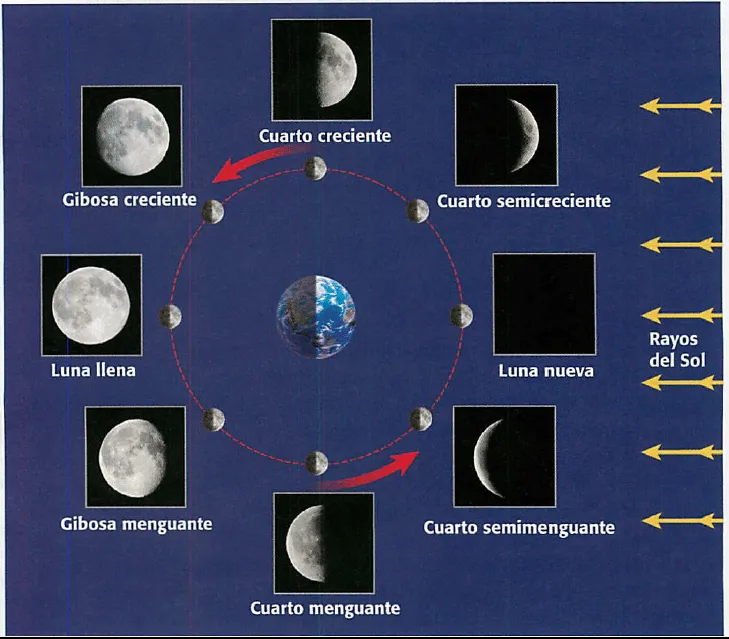 CL RC 3: Part 1 (Unit 4: Seasons, Lunar, Tides (Nov. 28-30, Dec. 1 - Dec. 12) - Mrs. Reese's Science Class Website CL RC 3: Part 1 (Unit 4: Seasons, Lunar, Tides (Nov. 28-30, Dec. 1 - Dec. 12) - Mrs. Reese's Science Class Website