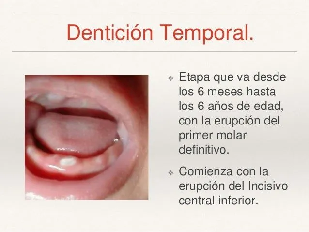 clase-1-anatomia-dientes- ...