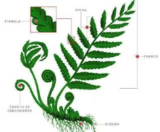 Clase de 5º B: octubre 2011