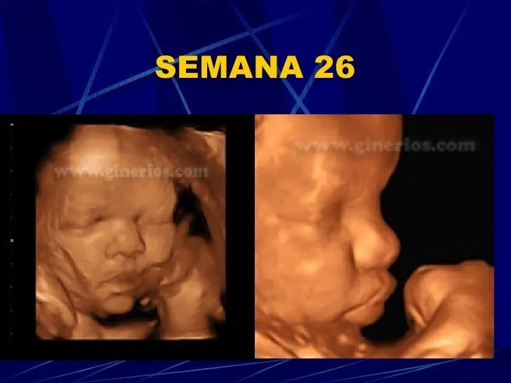 clase-5-primer-trimestre-36- ...