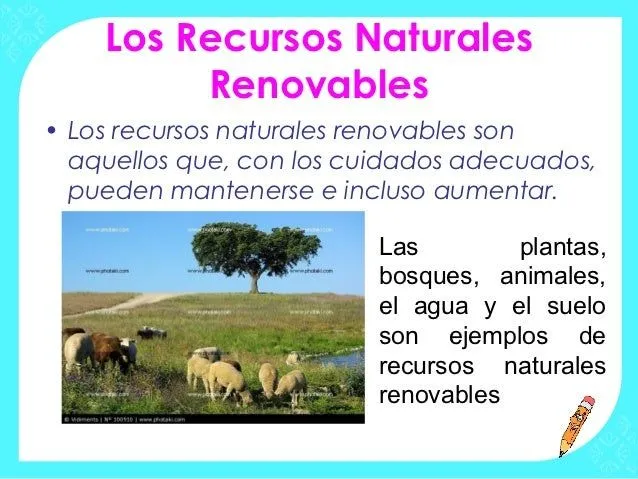 clase-3-y-4-clasificacin-de- ...