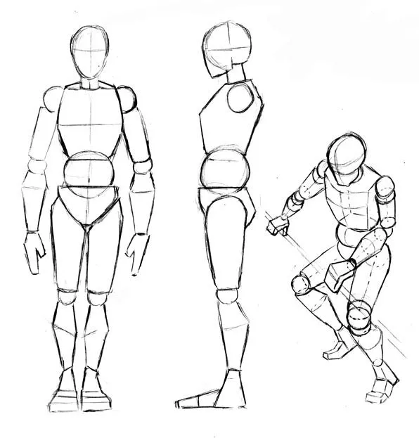 Clase 02. El cuerpo y sus proporciones - MarmotFish Studio Clase 02. El cuerpo y sus proporciones - MarmotFish Studio
