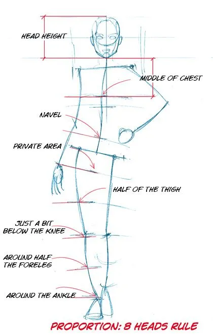 Clase 02. El cuerpo y sus proporciones - MarmotFish Studio Clase 02. El cuerpo y sus proporciones - MarmotFish Studio