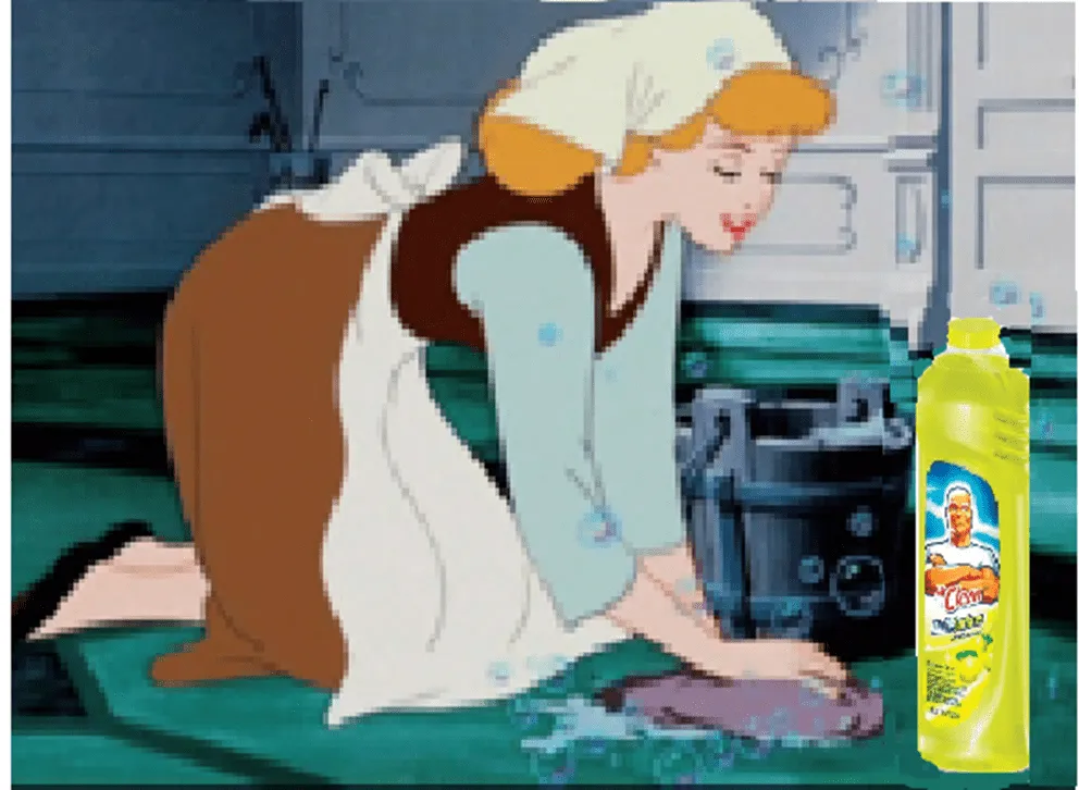 La clase de español : Una Cenicienta moderna La clase de español : Una Cenicienta moderna
