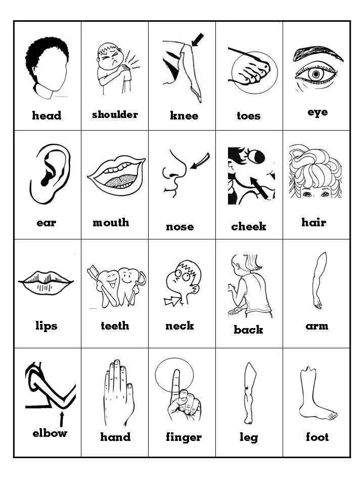 Clase de Inglés