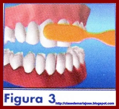 La Clase de María José: Salud Bucodental: Técnica del Cepillado Dental La Clase de María José: Salud Bucodental: Técnica del Cepillado Dental