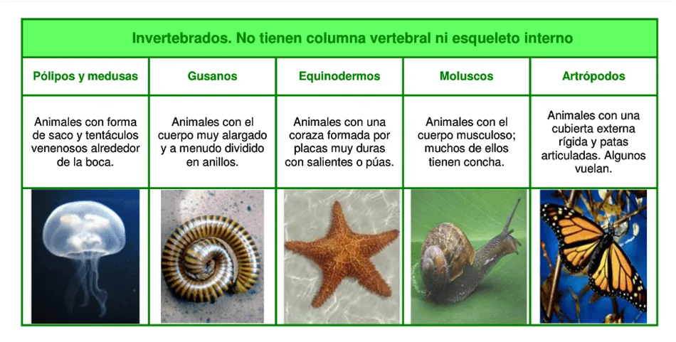 MI CLASE: octubre 2013