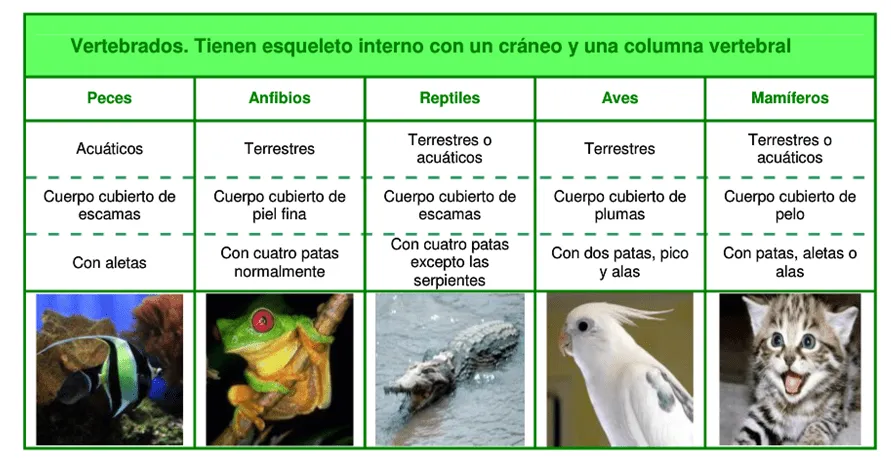 MI CLASE: octubre 2013