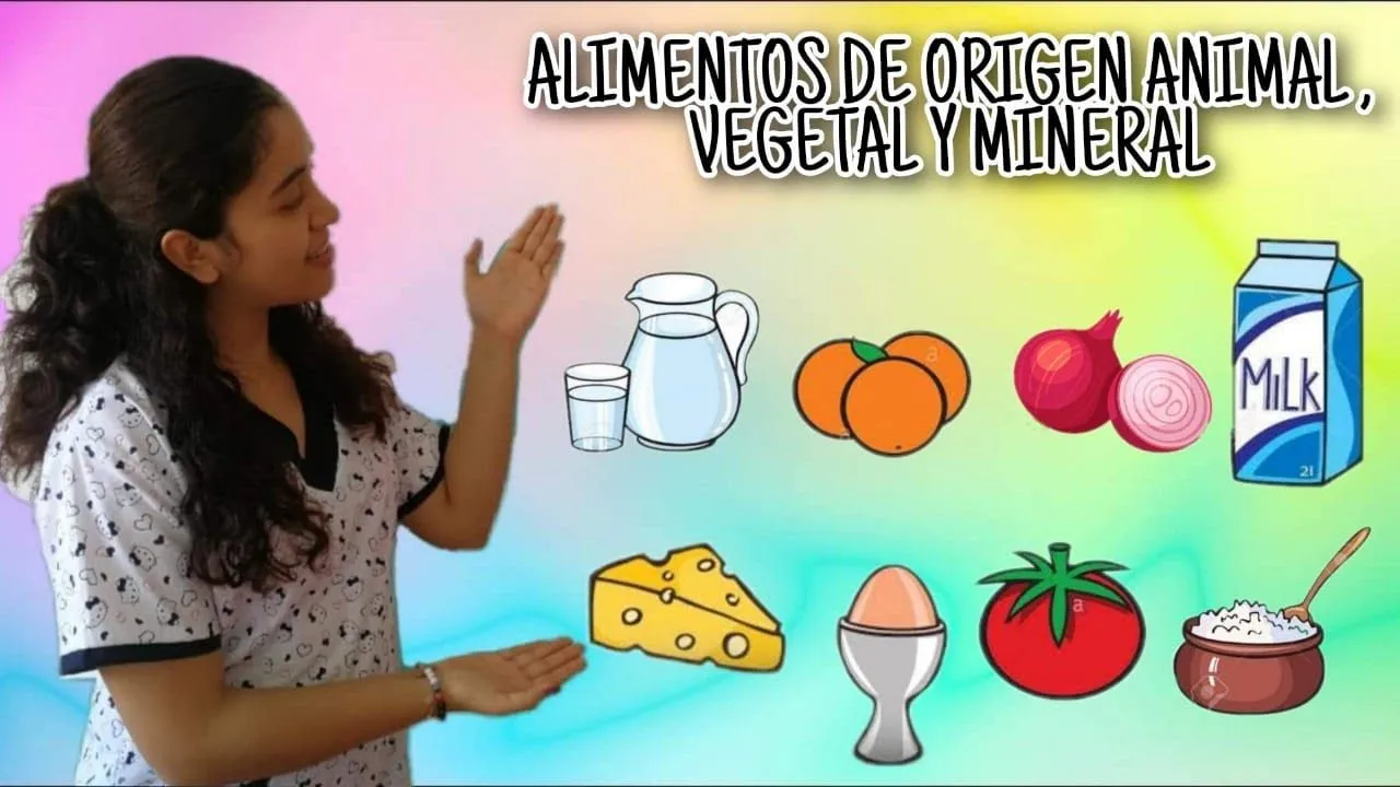 Clase Virtual - Alimentos de origen animal, vegetal y mineral - YouTube