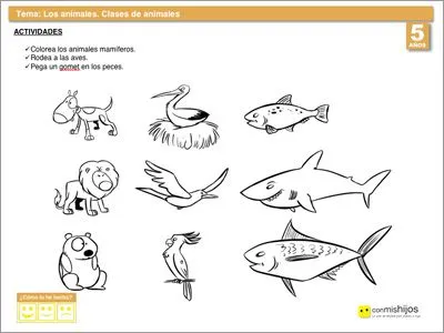 Clases de animales. Ejercicios para niños