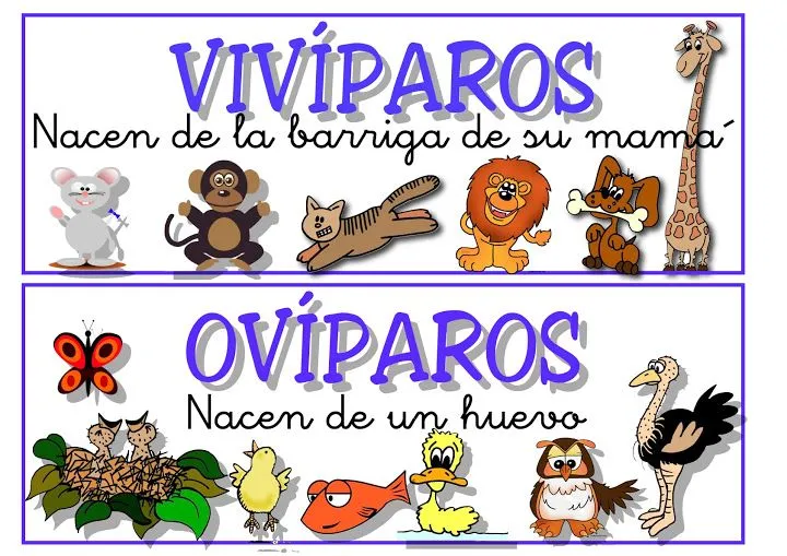 Clases de animales para niños : FICHAS PARA NIÑOS