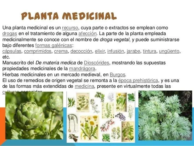 clases-de-plantas-5-638.jpg?cb ...