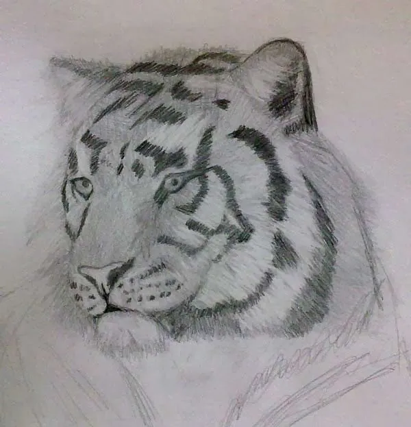 Clases de dibujo y pintura en La Coruña