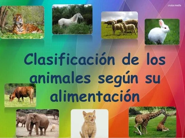Clasificación de animales según su alimentación Clasificación de animales según su alimentación