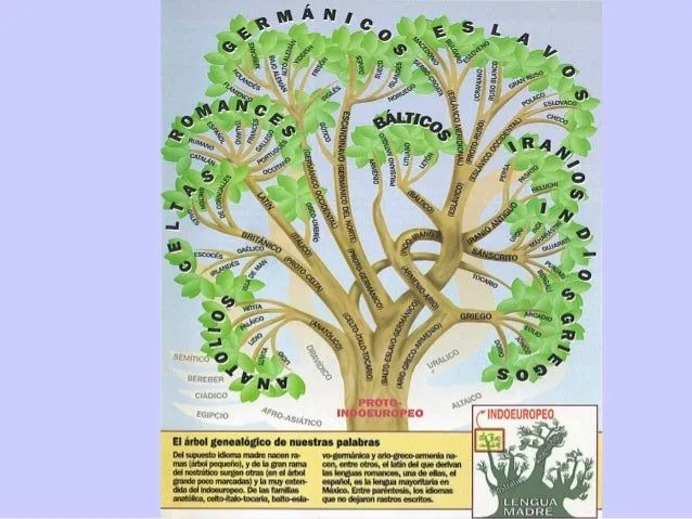 clasificacin-de-lenguas-5-638. ...